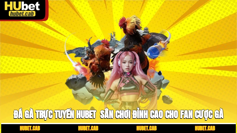 Đá Gà Trực Tuyến Hubet - Sân Chơi Đỉnh Cao Cho Fan Cược Gà